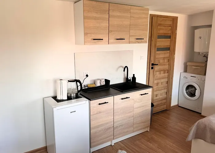 Апартаменты Londynek